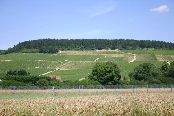 Photographie professionnelle de la ville de Chablis en Yonne prise depuis une perspective aérienne ou depuis un point élevé, montrant le centre-ville avec ses bâtiments historiques caractéristiques, ses rues, et le vignoble environnant qui est la signature de cette région viticole. L'image doit transmettre un sentiment de localisation rurale française authentique et pittoresque, sans texte ni repères cartographiques, dans un style clair et professionnel adapté à un contexte B2C de menuiserie et fermetures.
